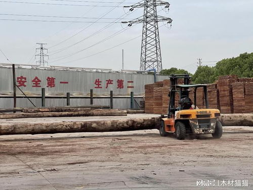 木頭云合作市場(chǎng) 打造一站式木材交易新平臺(tái)