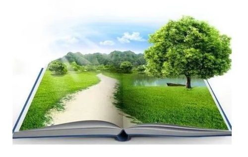 環(huán)保政策對工程項目的風險與應對