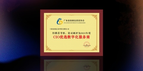 輕流榮獲“CIO優選數字化服務商”，以無代碼技術持續賦能行業數字化與計算機網絡工程創新